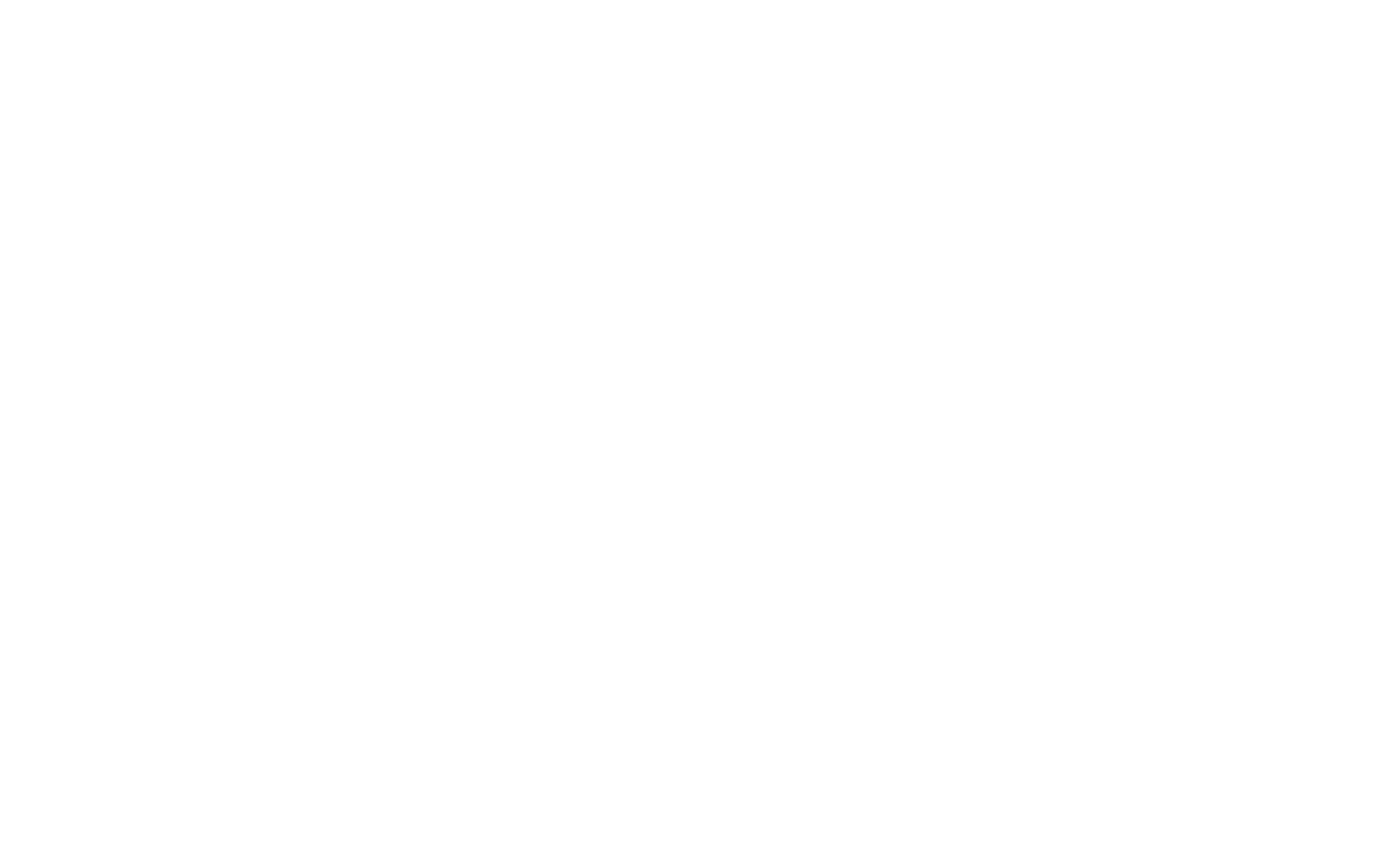 logo_Holding